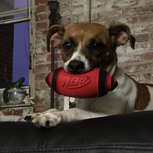 Meet your Posher, Bobbi